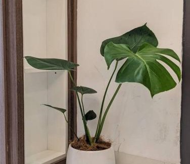Kim Lien Apartment | Căn hộ 2 phòng ngủ - đỗ xe máy miễn phí