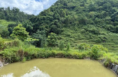 Yen Minh House | Cương Mountain View Homestay