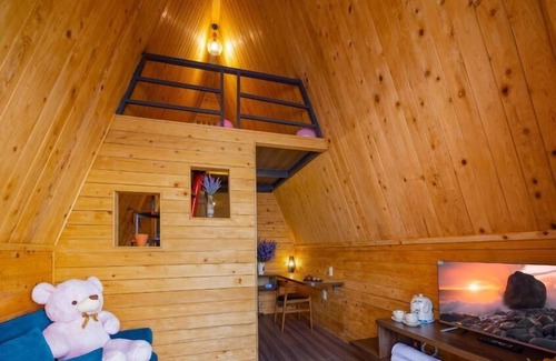 Chau Thanh Resort | Cồn Phụng Resort Mekong - Nature Escape with Free Boat Shuttle & Fishing