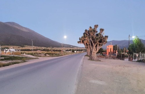 San Antonio de Las Alazanas Cabin | Cabin in the heart of San Antonio de las Alazanas.