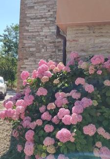 Calmazzo House | Ca'Solare Corticelli