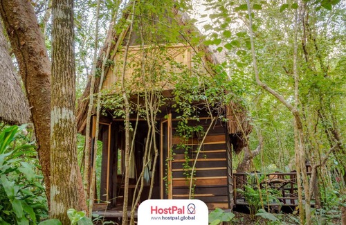 Leona Vicario Cabin | Cabaña Eco Friendly | Desconectar para conectar