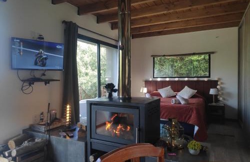 Maldonado Department Ski Chalet | Cabaña El Trisquel