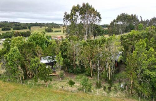 Curaco de Velez House | Cabaña en el bosque Chiloé