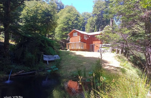 Panguipulli Cottage | Cabaña entre saltos y termas