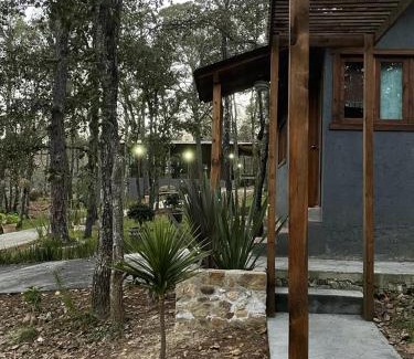 Hidalgo Villa | Cabaña jacuzzi Huasca