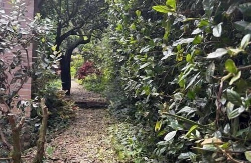 San Francisco Cabin | Cabaña Lima, tranquility and nature