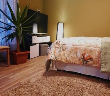 La Serena Apartment | Cabaña Mi calma