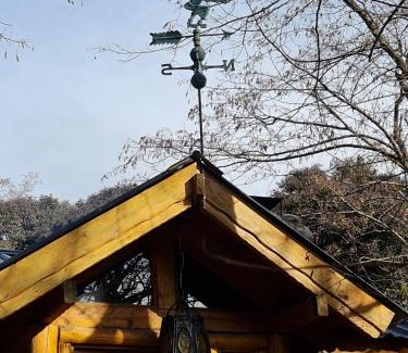 Villa Ventana Ski Chalet | Cabaña Odila