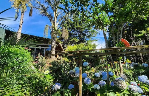 Los Naranjos Cabin | Cabaña Pipil en Los Naranjos