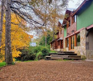 San Martin de los Andes House | Cabaña rodeada de bosque nativo para 12 c parrilla