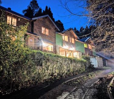 San Martin de los Andes House | Cabaña rodeada de bosque nativo para 12 c parrilla