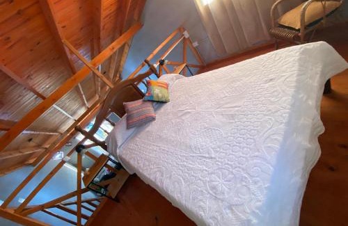 Dr. Enrique Zarate Cabin | Cabaña Siera Y Sol