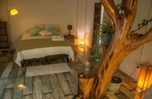 La Union House | Cabaña & Spa Sentido Vital