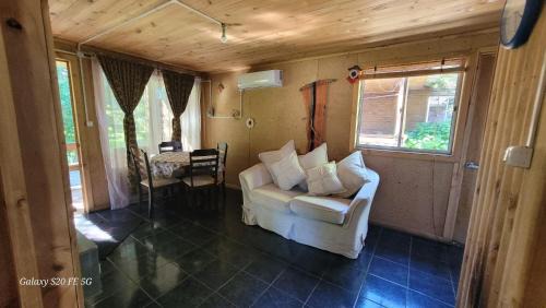 Pinto Ski Chalet | Cabañas Aguas Claras
