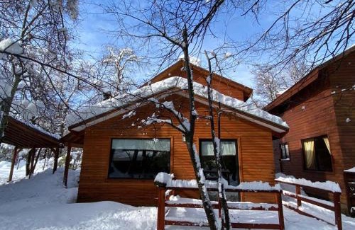 Pinto Cabin | Cabañas Bordenieve