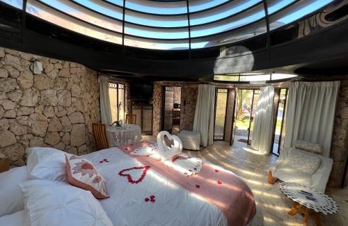 Pisco Elqui House | Cabañas Caballieri