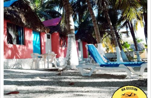 Celestun Hotel | Cabañas Camping Ria Celestun