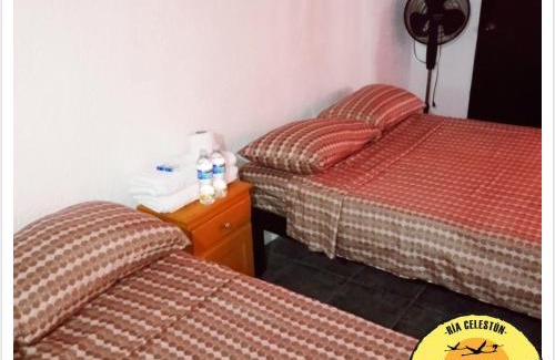 Celestun Hotel | Cabañas Camping Ria Celestun