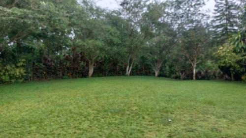 Quebrada La Gamba Apartment | Cabañas Celeste