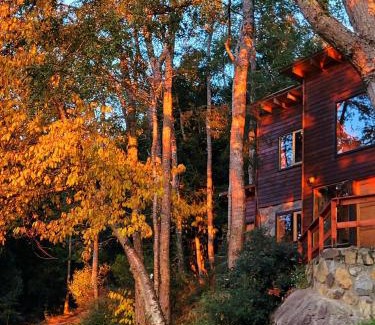 Llifen Cabin | Cabañas Llifenativo