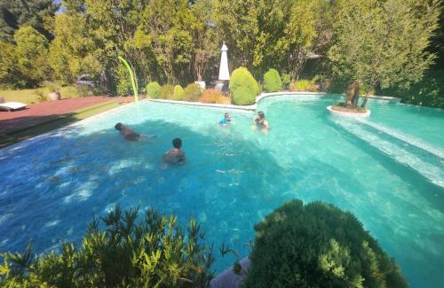 Pucon Cabin | Cabañas Natural Park Lodge Pucón