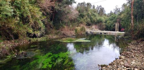Hornopiren National Park House | Cabañas P y R los canelos