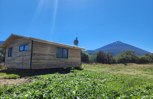 Hornopiren National Park House | Cabañas P y R los canelos