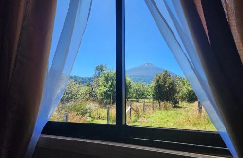 Hornopiren National Park House | Cabañas P y R los canelos