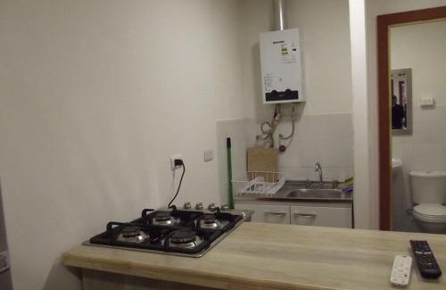 Coyhaique Apartment | CABAÑAS TRAPAGONIA