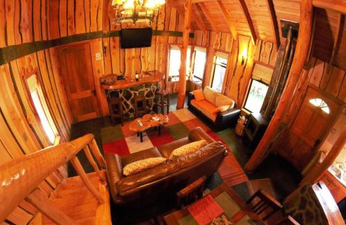Pinto Ski Chalet | Cabañas Tronco Mayen