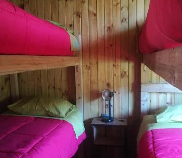 Isla Negra Cabin | Cabañas Tu Bosque
