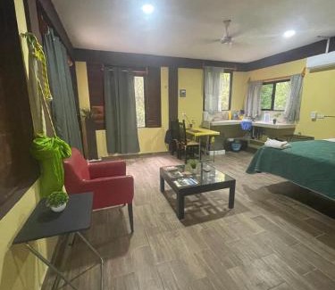 Xpujil Apartment | Cabañas Xpujil Calakmul Campeche con vista a la Selva
