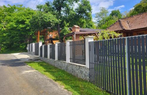 Calimanesti House | Cabana Beta