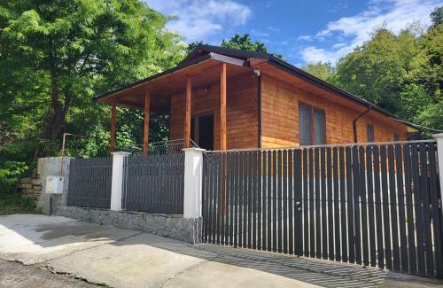 Calimanesti House | Cabana Beta