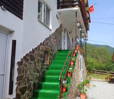 Plescuta House | Cabana Bianca