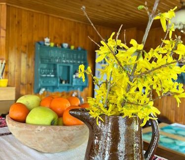 Brebu Nou House | Cabana Craiu Garana