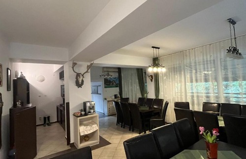 Moneasa Cabin | Cabana Didana
