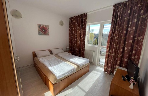 Moneasa Cabin | Cabana Didana
