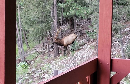Cloudcroft Cabin | Cabana Escondido borders National Forest yet easy access.