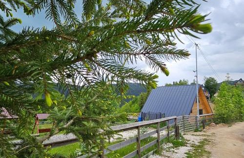 Horea Cabin | Cabana Lupul din Apuseni