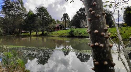 Sao Francisco de Paula House | Cabana no Sítio do Sossego - Gramado/São Chico - RS