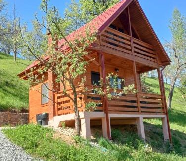 Viseu de Sus Cabin | Cabana Ulmului