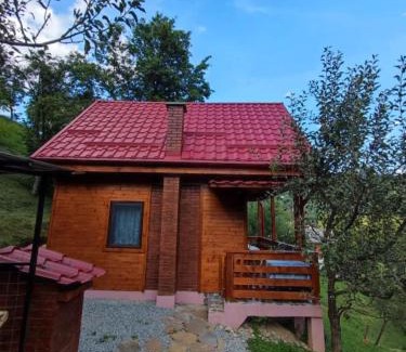 Viseu de Sus Cabin | Cabana Ulmului