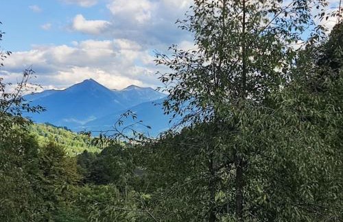 Viseu de Sus Cabin | Cabana Ulmului