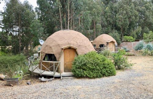 Isla Negra Cabin | Cabanas Curi-Huapi