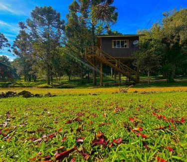 Cambara do Sul Hotel | Cabanas Imbuia