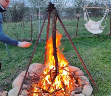 Prahova County Other | CABANE Nadejda SPERANTA