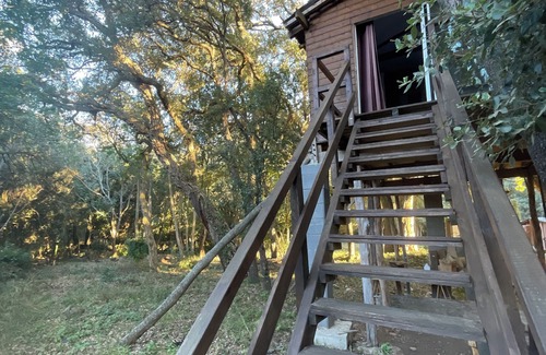 Sisco Cabin | Cabane perchée Casa Luna - Cap Corse - Domaine 1001 nuits