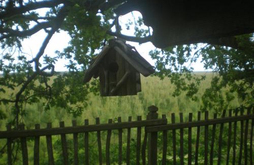 Solferino House | cabane perchée